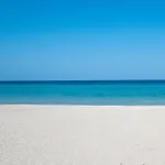 Palmeras 1 Cala Millor (Mallorca)