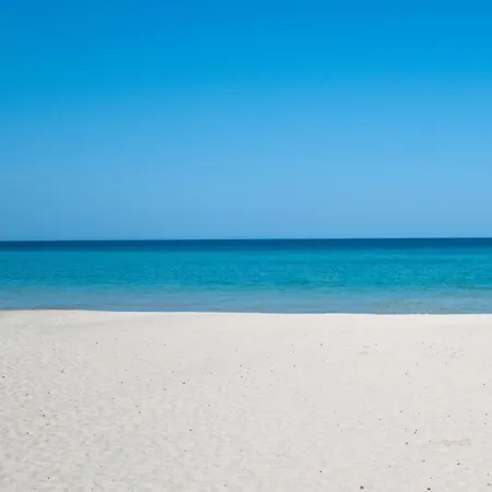 Palmeras 1 Cala Millor (Mallorca)