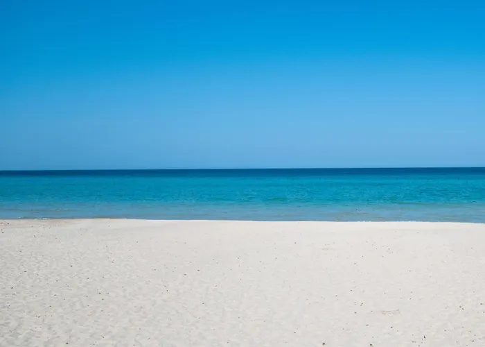 Palmeras 1 Cala Millor (Mallorca)